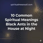 Spiritual Meanings of Black Ants in the House at Night
